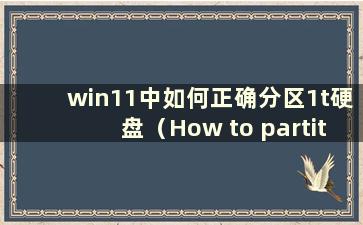 win11中如何正确分区1t硬盘（How to partition a 1t Hard Drive in a Reasonable way）